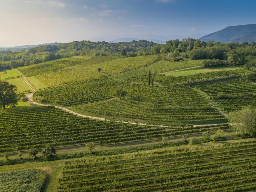 Ronc Dai Luchis Villa Faedis Exteriör bild