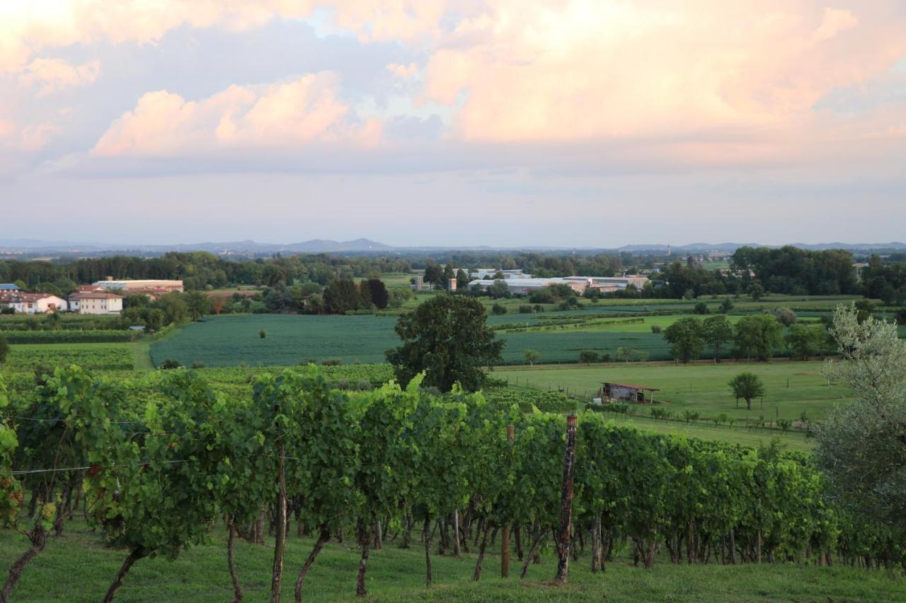 Ronc Dai Luchis Villa Faedis Exteriör bild